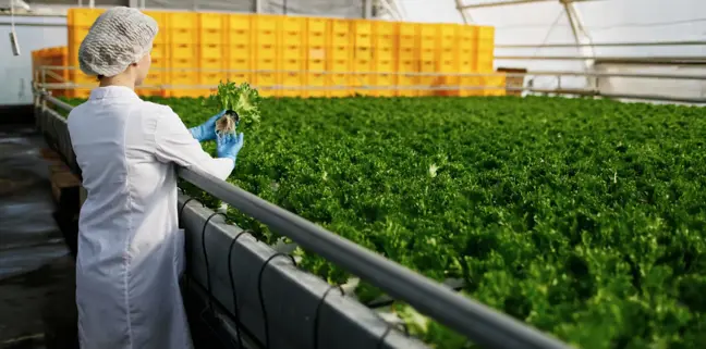 Food & Agriculture Food & Agriculture