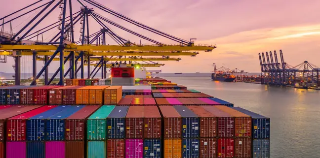 Trading & Import/Export Trading & Import/Export