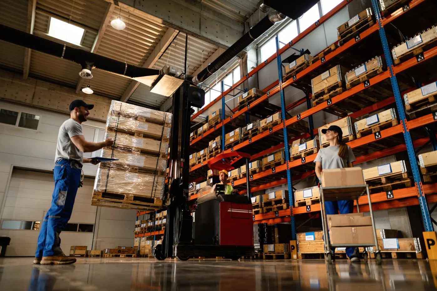 Warehousing & Distribution